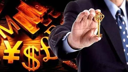 北京鴻晟興業(yè)信息咨詢服務(wù)有限責(zé)任公司 金融信息咨詢的專業(yè)服務(wù)